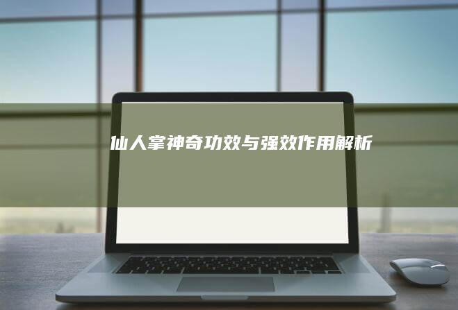 仙人掌：神奇功效与强效作用解析